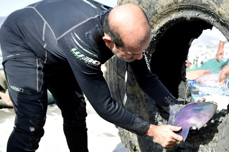Image of volunteers cleaning the beach: "Sharjah Museums Authority volunteers participating in the annual beach clean-up."
