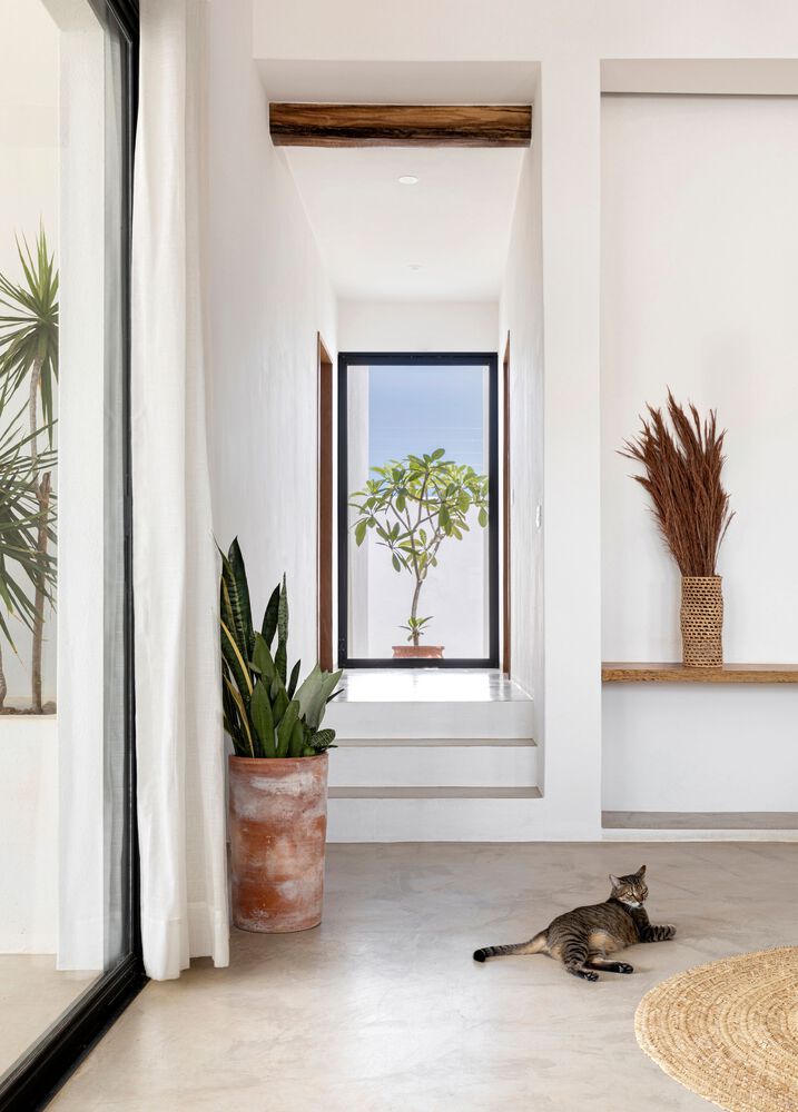 Casa Sussurro architecture