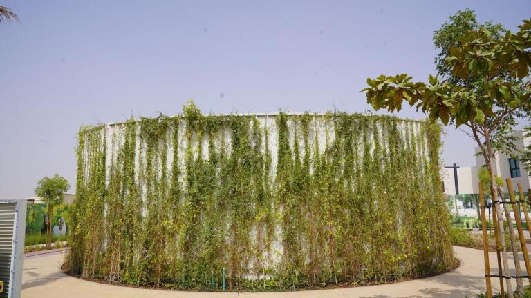 sustainable living