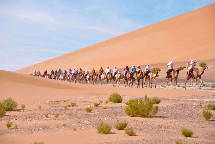 11th Camel Trek Celebrates UAE’s Heritage Journey