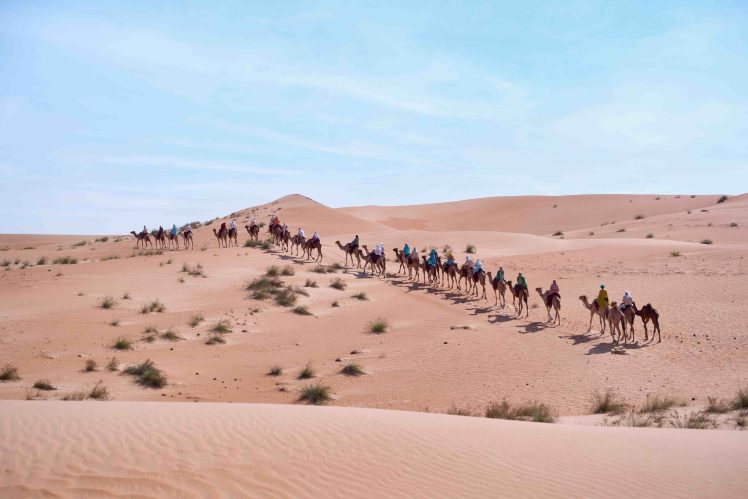 11th Camel Trek Celebrates UAE’s Heritage Journey